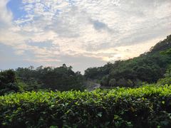 -火炉山森林公园