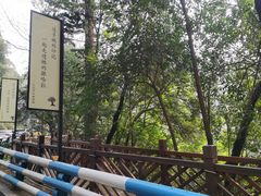 -南山植物园