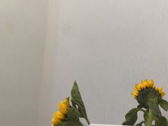 -深圳富茂格伦菲尔口腔门诊部(龙华清湖总院)