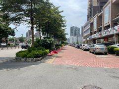 -大亚湾红树林城市湿地公园