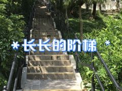 -太平山顶