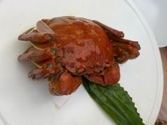 江南醉六月黄蟹-苏小柳点心·手作小笼包(新街口分院店)