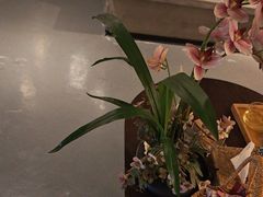 -施奈儿.洗头頭療.按摩SPA.采耳(上梅林店)