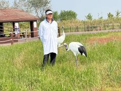 -盐城丹顶鹤湿地生态旅游区