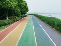 -贡湖湾湿地公园