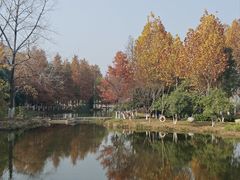 -金银湖国家城市湿地公园