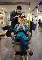 点击看大图 大厅-3AM HAIR SALON烫发染发接发