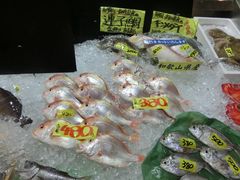 -海鮮寿司とれとれ市場