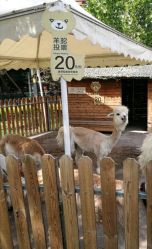 -萌宠亲子动物乐园(槐房万达店)