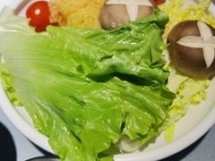 -诺莱仕游艇会