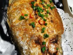 -九府羊·鲜羊火锅·烤串(新华路店)