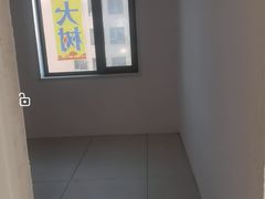 -大树装饰·十年本土家装