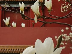 -北京市劳动人民文化宫(太庙)