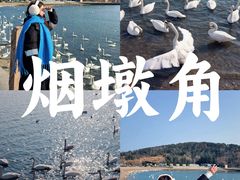 -烟墩角天鹅湖