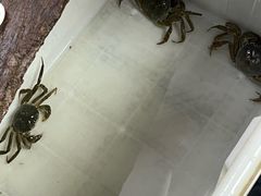 -阳澄湖大闸蟹·琼灵阁牌品牌连锁(吴中总店)