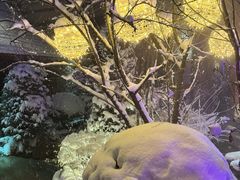 -汉拿山温泉度假酒店