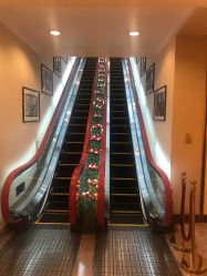 -花园饭店·宴会厅