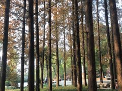 -东坡赤壁风景名胜区