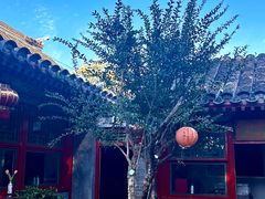 -花家怡园(四合院总店)
