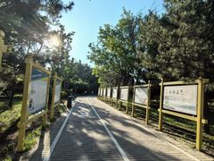 -古塔公园