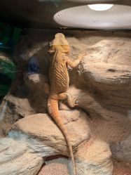 -酷嗒动物文化乐园(cutezoo西溪乐天城店)