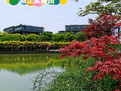 -嘉定紫藤园