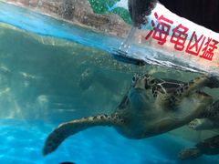 -石家庄海洋公园