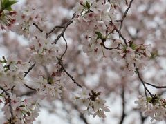 -西北湖绿化广场