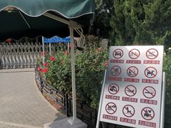 -大兴滨河森林公园