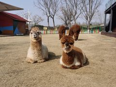 -太阳岛度假酒店