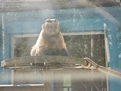 -秦皇岛野生动物园