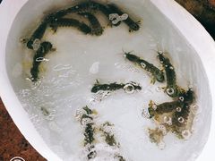 -拉威海鲜市场