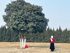 -汉长安城未央宫国家考古遗址公园