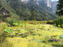 -鹿院坪生态旅游景区