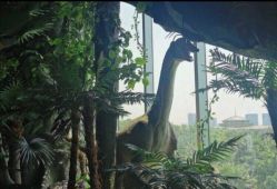 -恐龙探索乐园(磁器口店)