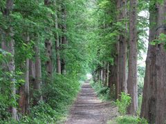 -同里国家湿地公园