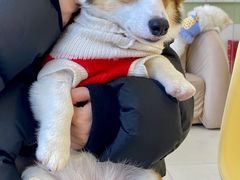 -怪兽屋·羊驼·猫咖·狗咖(俊华广场店)