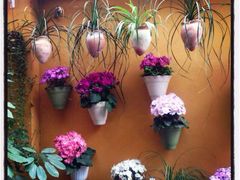 iphone_upload_pic-拖板鞋咖啡旅行酒店(春熙路地铁站店)