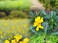 -雁荡山三折瀑景区