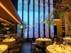 -桂满陇·海市蜃楼·黑金(国金店)