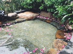 -厦门日月谷温泉渡假村