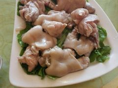 -丁老爷子苏香圆