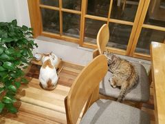 -猫的天空之城概念书店(苏州平江店)