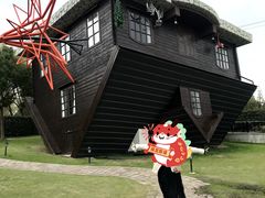 -金山农民画村-枫泾波兰倒置屋