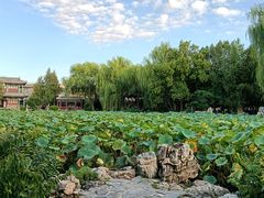 -莲池书院博物馆