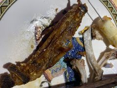 -蒙料·手把肉(望京店)