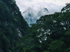 -陕西省红河谷森林公园