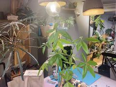 -如果·追梦手工皮具DIY教学店(田子坊店)