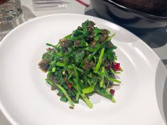 韮香地皮菜-品粹徽园·家常安徽菜