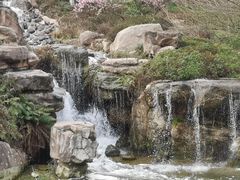 -秀丽东方